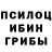 Галлюциногенные грибы мицелий Adilova Malika