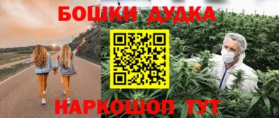 spice Кандалакша