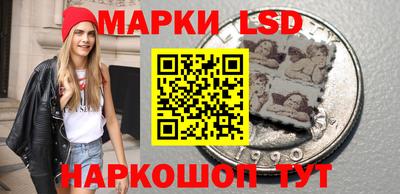 spice Кандалакша